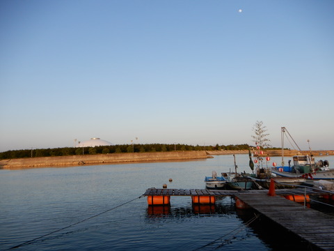 DSCN1431