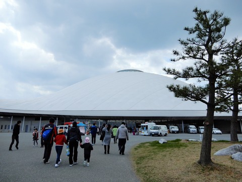 DSCN0619