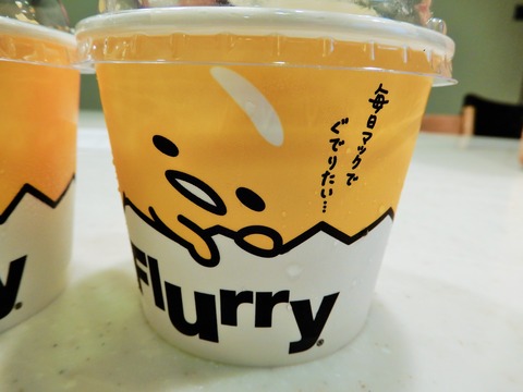 DSCN8303