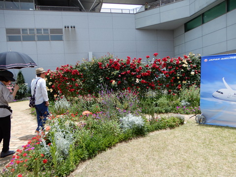DSCN1798
