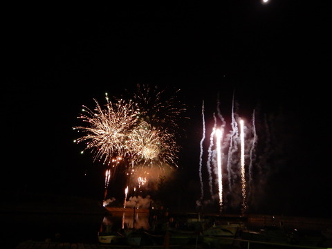 DSCN1510