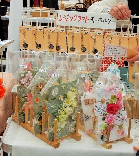 DSCN0641