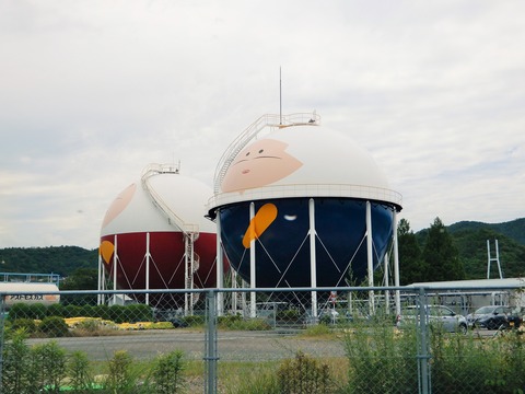 DSCN8248