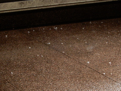 DSCN1107