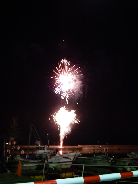 DSCN1473