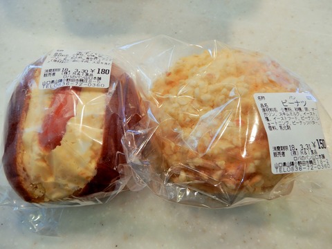 DSCN0497
