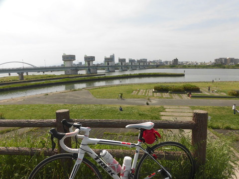 自宅近くの大正川では、まだ ...