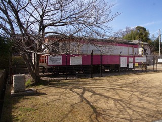 d5c487db.jpg