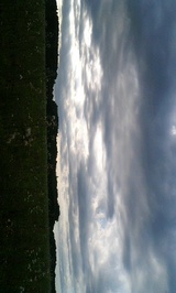 d066df02.jpg