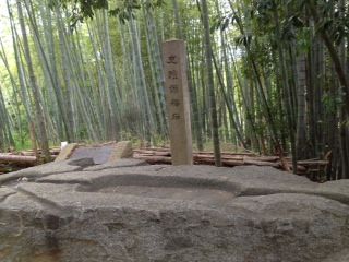 sakafunaishi