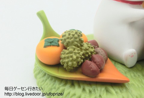 CIMG0251