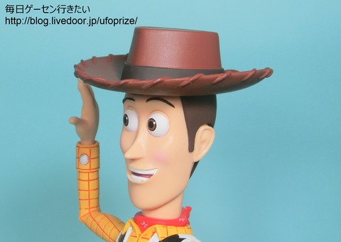 CIMG8560