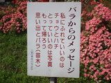 バラ公園看板