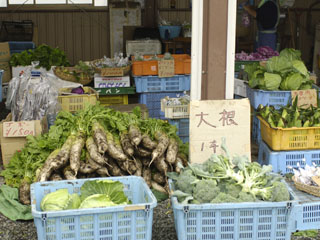 野菜直売所2