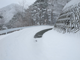 20100207_SNOW SHOE_4