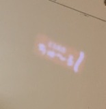 11250202
