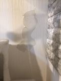 IMG_4720