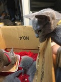 IMG_0248-11-12-18-12-36