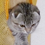マイケルくん マイケルくん