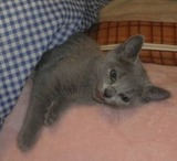 2012.12.31