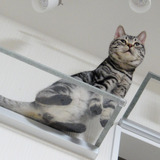 トラさん トラさん