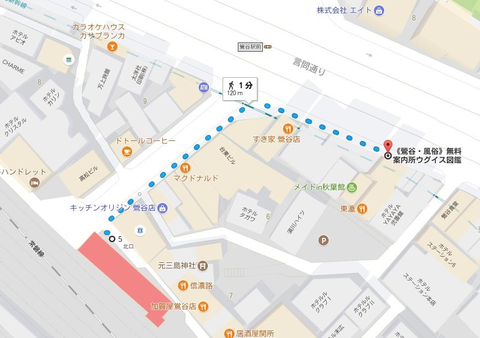 鶯谷 無料案内所ウグイス図鑑&ココダネ
