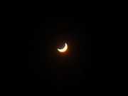 IMG_9433-