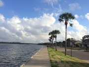 2018-02-19-07-47-16