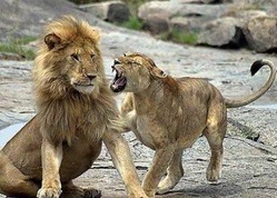 IMG_20180118_212039
