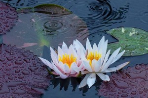 IMG_20171123_174017