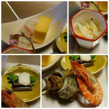 collage_photocat