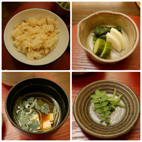 collage_photocat
