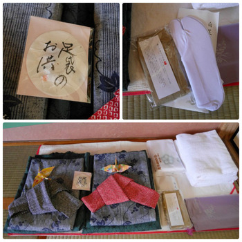 collage_photocat