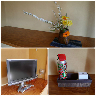 collage_photocat