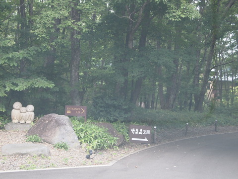 P8243286
