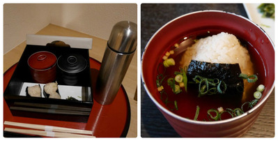 collage_photocat