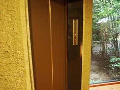 P9184854