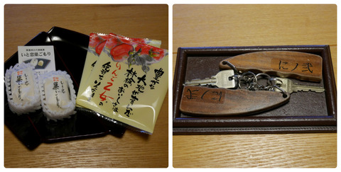 collage_photocat