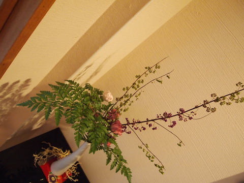 P9303696
