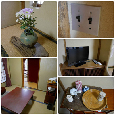 collage_photocat