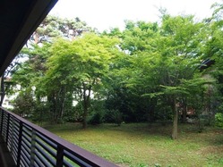 P1014368