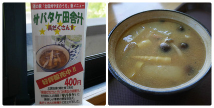collage_photocat