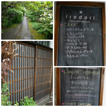 collage_photocat