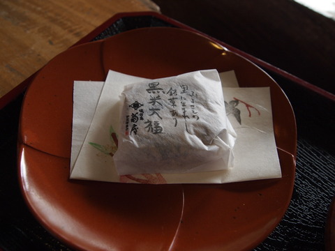 P4162021