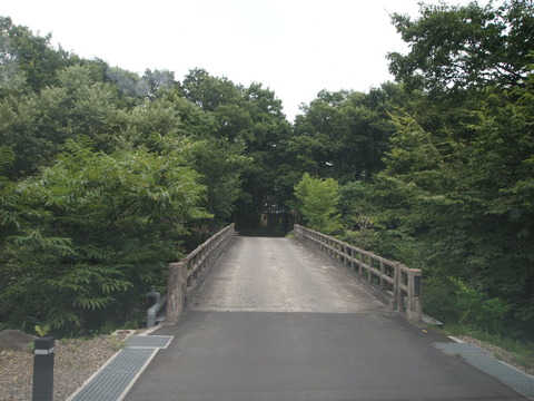 P8243285