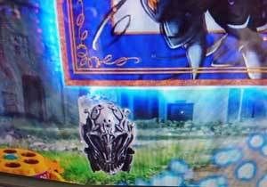 garo7