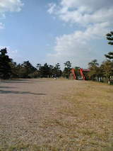 67d42801.jpg