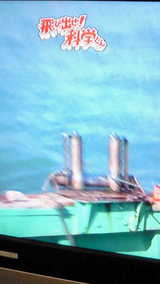 e63b956f.jpg