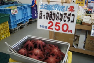 DSC00486