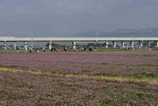DSC00450